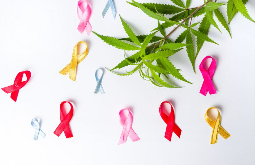 1/3 des patients canadiens atteints de cancer consomment du cannabis