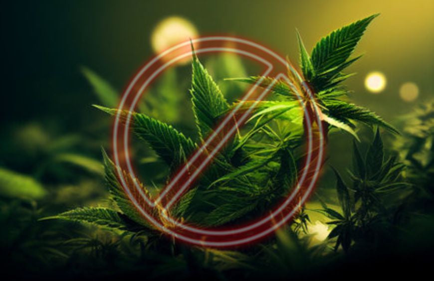 Quel CBD est interdit ?