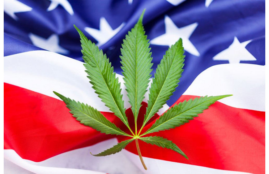 2/3 des docteurs américains favorables au cannabis médical