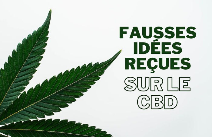 Ces idées reçues sur le CBD