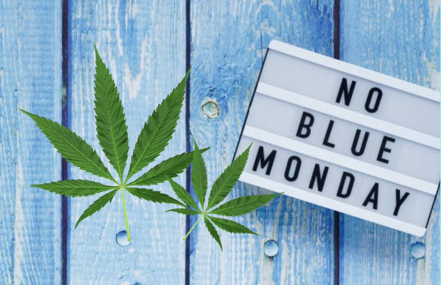 Comment surmonter la déprime de Blue Monday ?