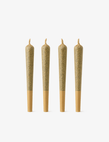 Entdeckungsset Pre-rolls CBD