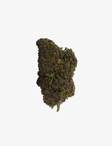 Nordlichter CBD