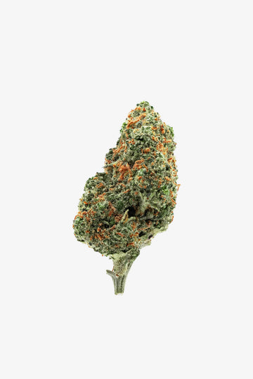 Afghan Skunk CBD