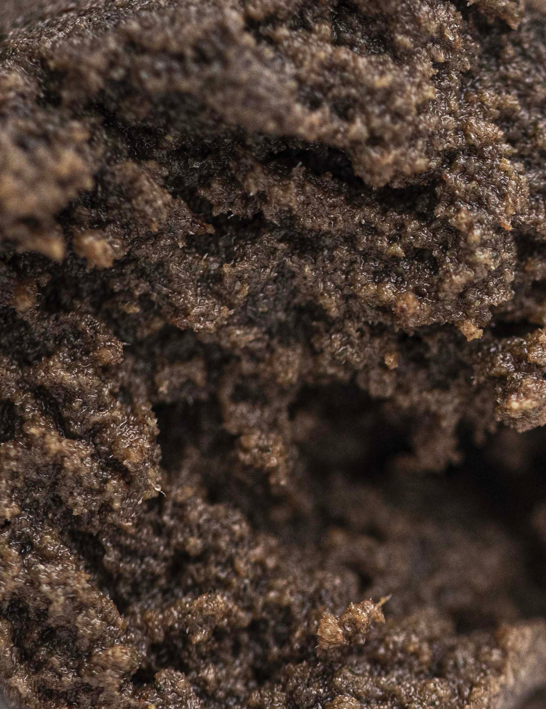 Heiliger Hash CBN