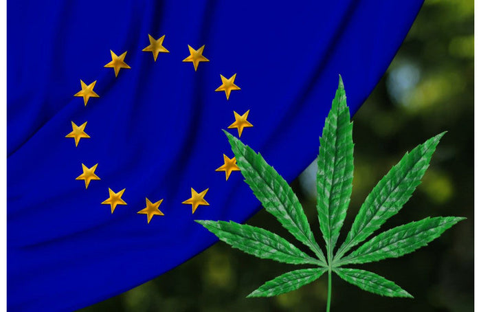 Production de chanvre en Europe : la France toujours numéro 1 !