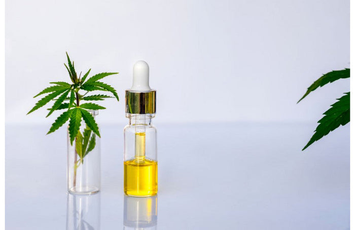 Comment bien choisir son huile de CBD ?