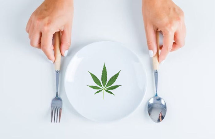 Faut-il prendre du CBD à jeûn ?