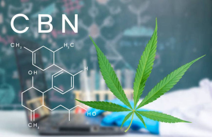 Débutant : comment commencer le CBN ?