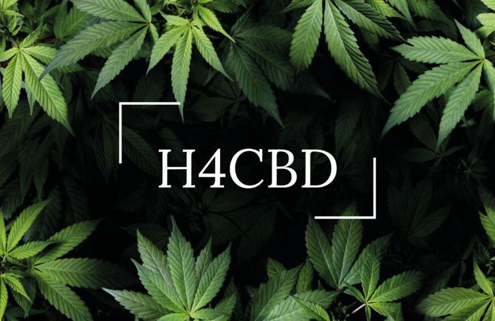 H4CBD : quels sont les bienfaits de ce nouveau cannabinoïde ?