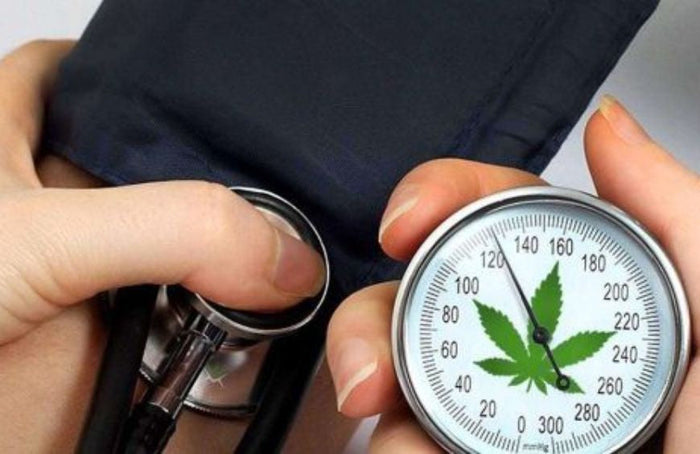 Le CBD aurait-il une influence sur la pression sanguine ?