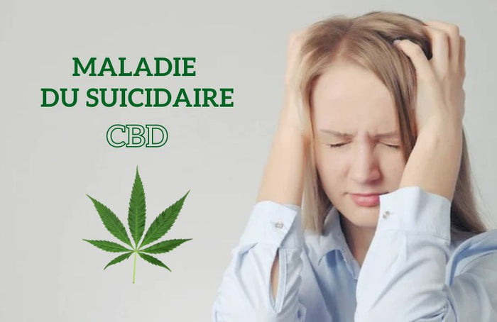 La maladie du suicidaire : le CBD pourrait-il soulager les douleurs ?
