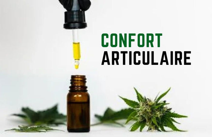 Retrouver un confort articulaire avec l'huile de CBD