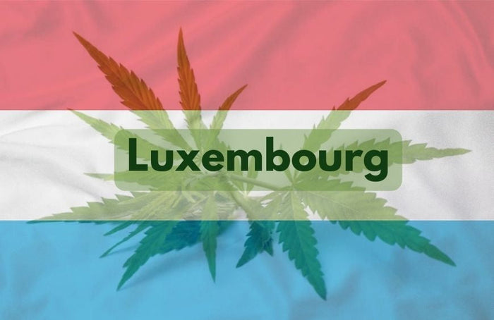 Le Luxembourg avance doucement vers la légalisation du cannabis