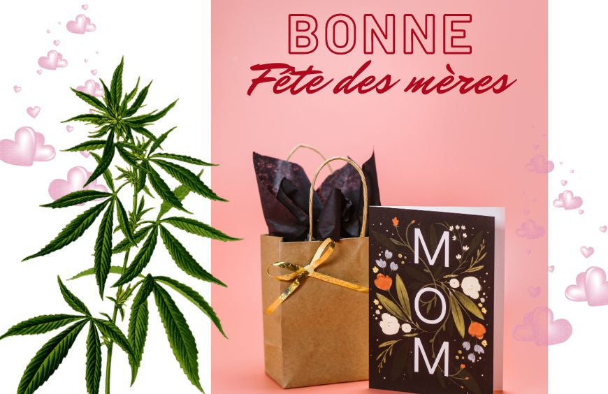 4 bonnes raisons d'offrir du CBD pour la fête des mères