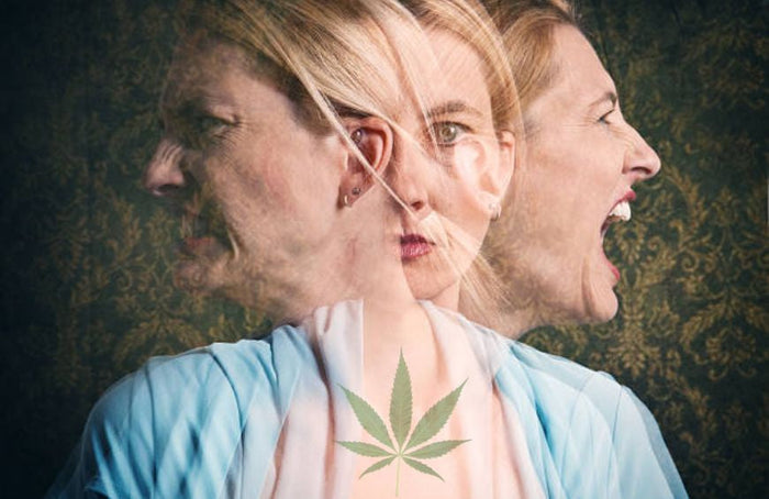 Troubles de l'humeur : pourquoi le CBD pourrait être une solution ?