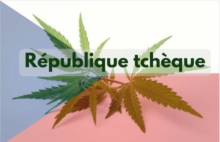 La République tchèque avance vers la légalisation du cannabis