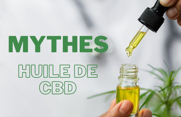10 mythes autour de l’huile de CBD
