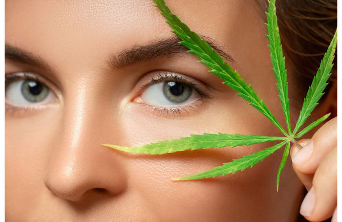 Le CBD : le nouvel ingrédient star de la cosmétique