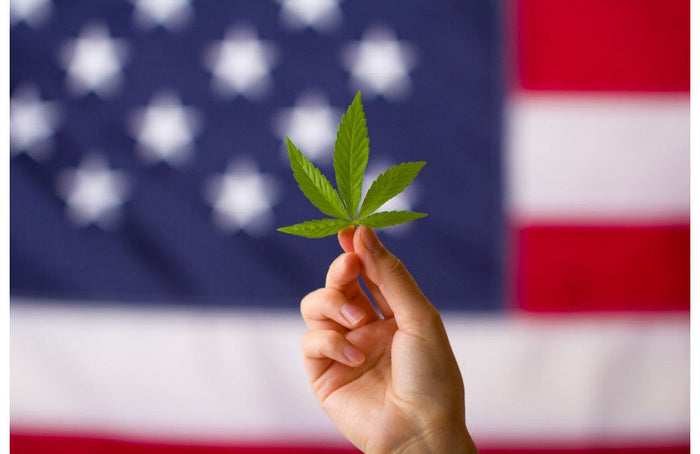 USA : le taux de THC du chanvre relevé à 1% au Minnesota