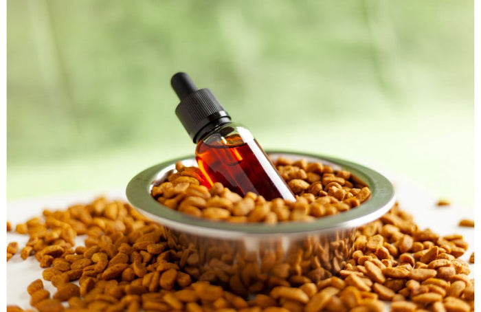 Huile de CBD pour animaux : effets et dosages