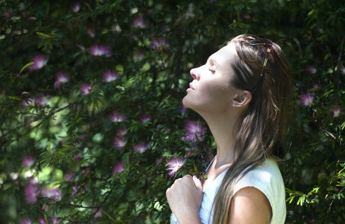 Le CBD : votre allié bien-être par excellence