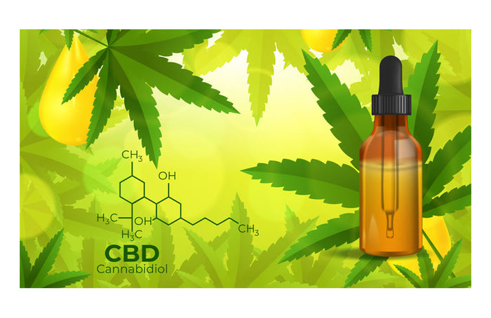 Comment distinguer CBDA et CBD ?