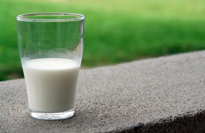 Comment faire du lait au CBD ?