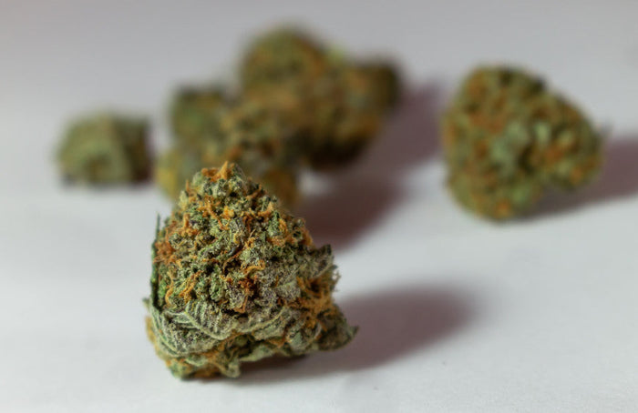 Comment choisir des fleurs de CBD de qualité ?