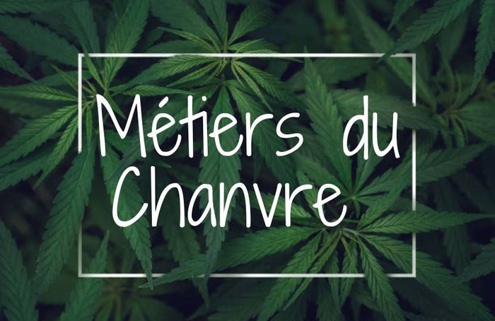 Quels sont les métiers du chanvre ?