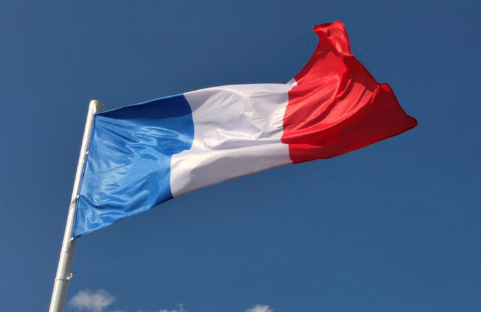 Élections présidentielles 2022 et cannabis : que pensent les candidats ?