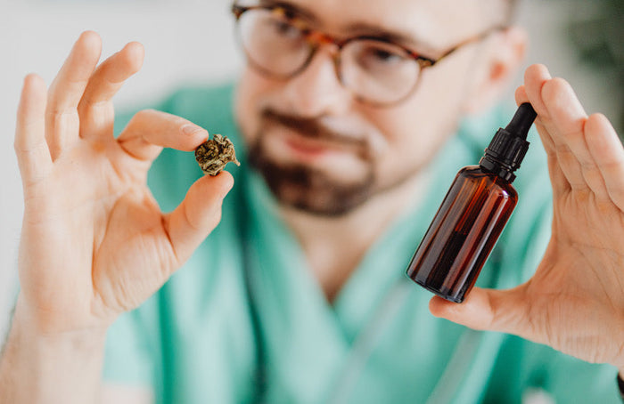 Bien comprendre les différences entre l’huile de THC et l’e-liquide de CBD