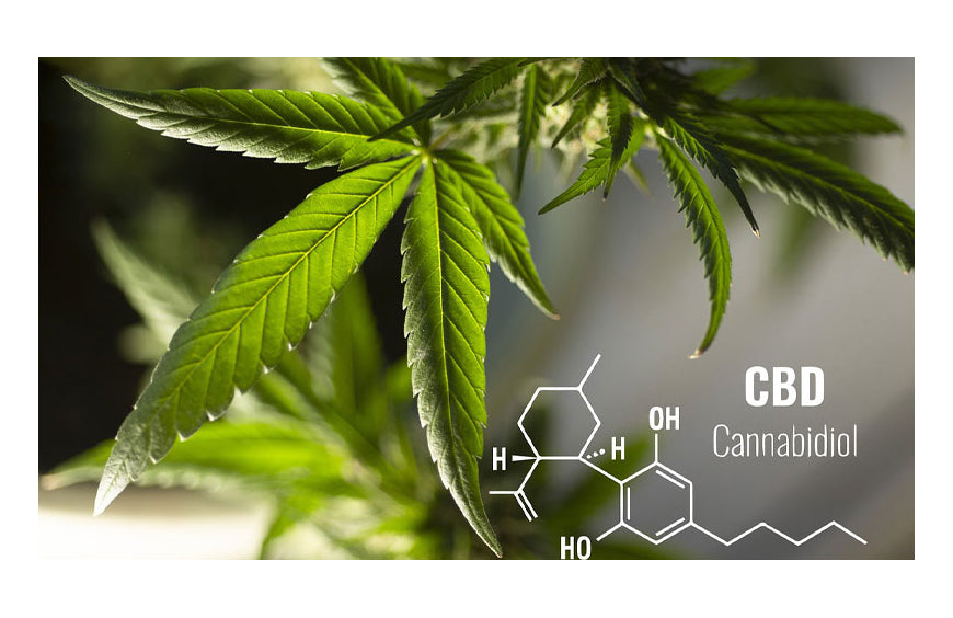 Comment fonctionnent les vaporisateurs CBD à conduction et quels sont leurs avantages ?