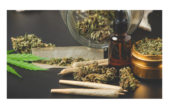 CBD : combien de temps pour l’éliminer de notre organisme ?