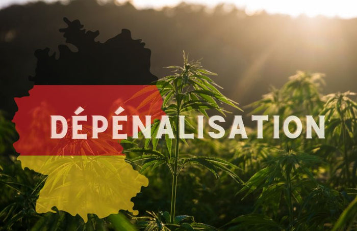Allemagne fait un pas de plus vers la légalisation du cannabis
