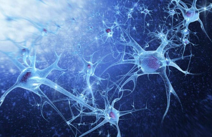 Neuropathie : une étude révèle que le CBD pourrait être une solution naturelle