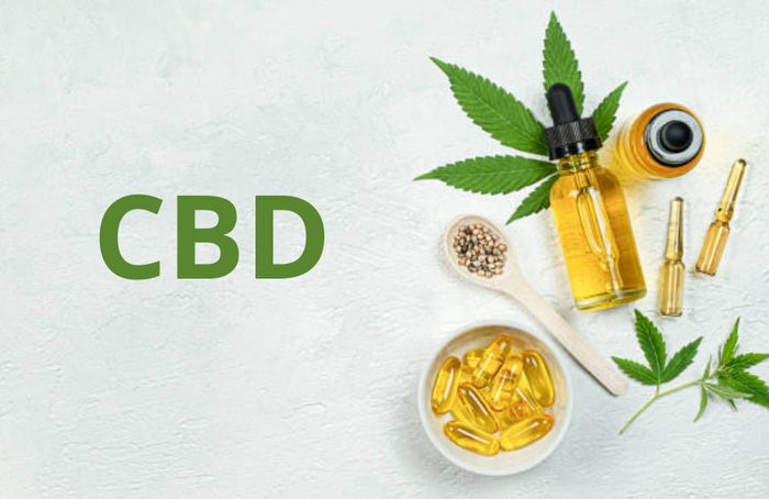 10 raisons d'utiliser du CBD au quotidien