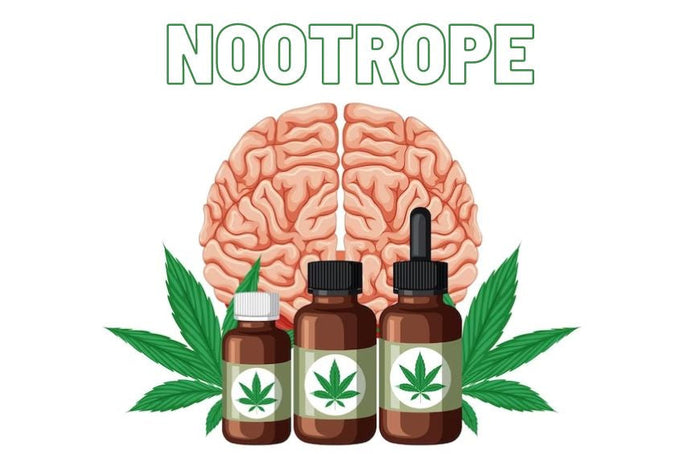 Le CBD est-il un nootrope ?