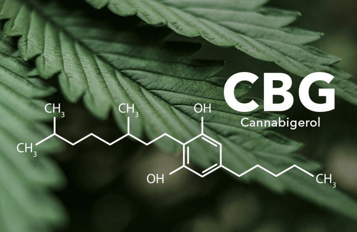 Le CBG et le CBD peuvent-ils jouer sur notre mental ?