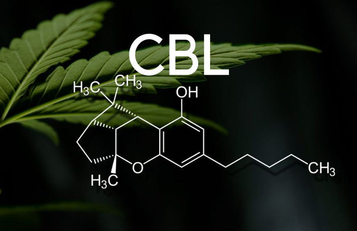 Qu'est-ce que le cannabicyclol (CBL) ?