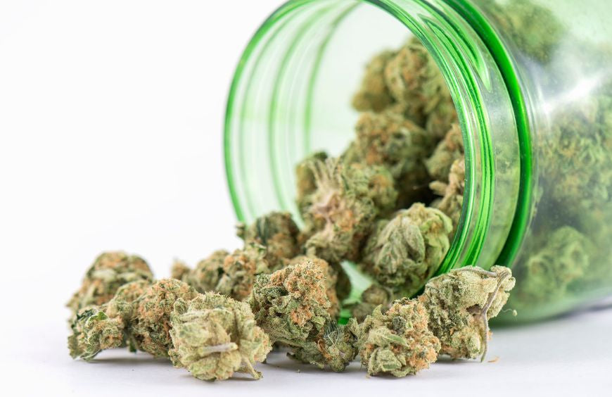 Quelle est la fleur de CBD la plus puissante à fumer en 2025 ?