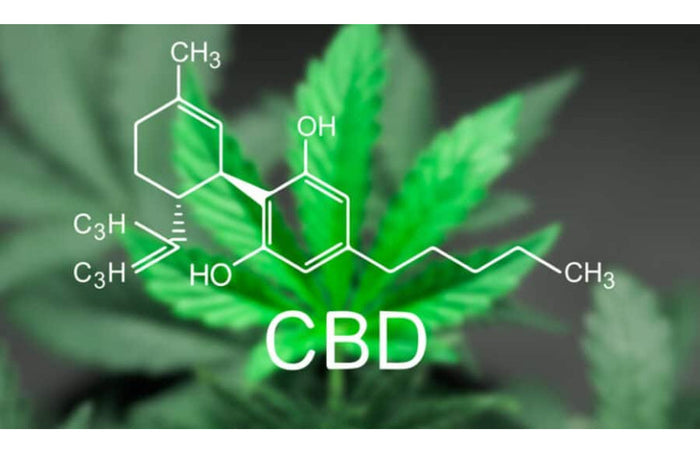 Quel CBD pour les douleurs ?