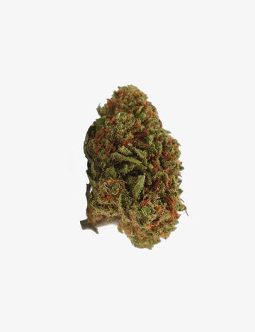 Nordlichter CBD