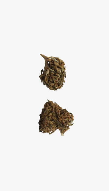 Amnesia CBD Small Buds