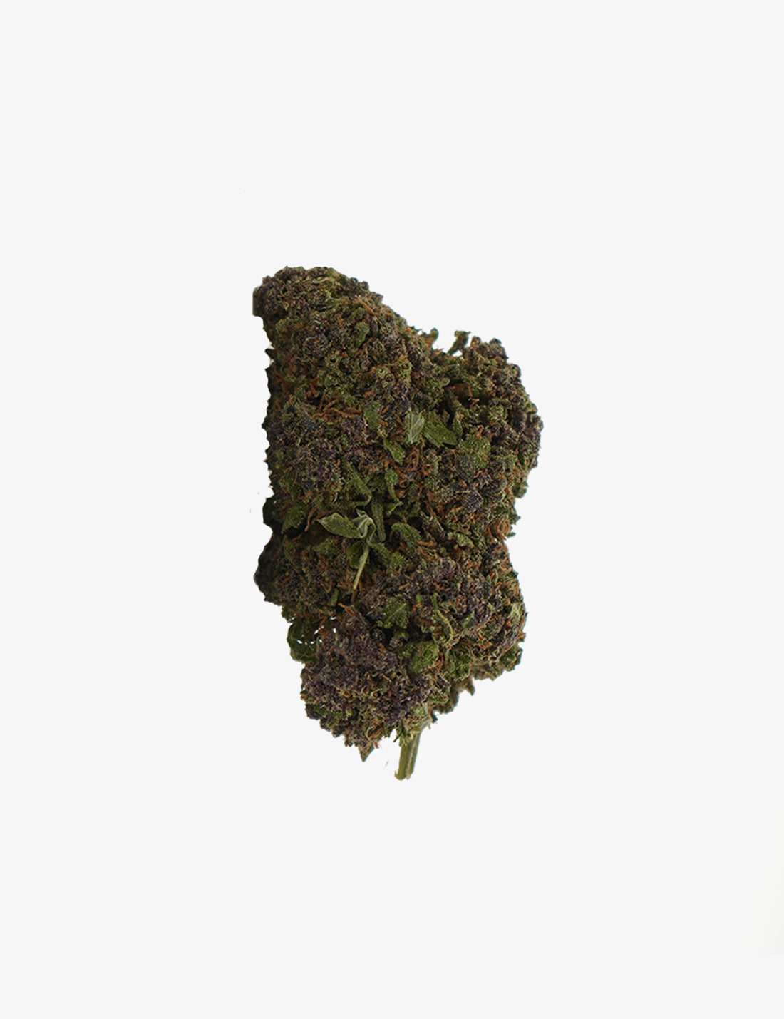 Nordlichter CBD
