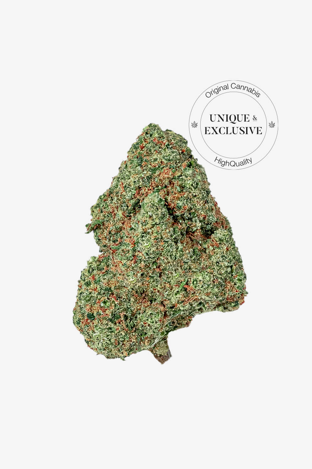 Amsterdam Centraal CBD