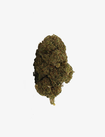 Nordlichter CBD