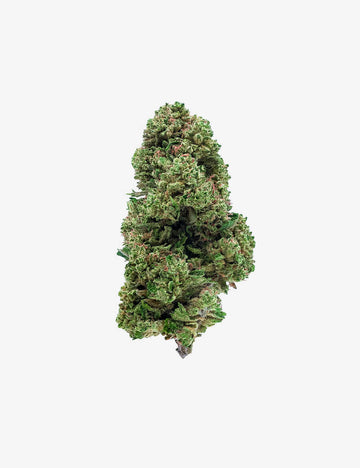 Exotisches Runtz CBD
