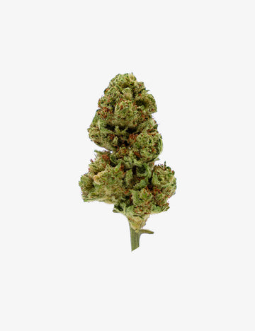 Zitronenbaum CBD