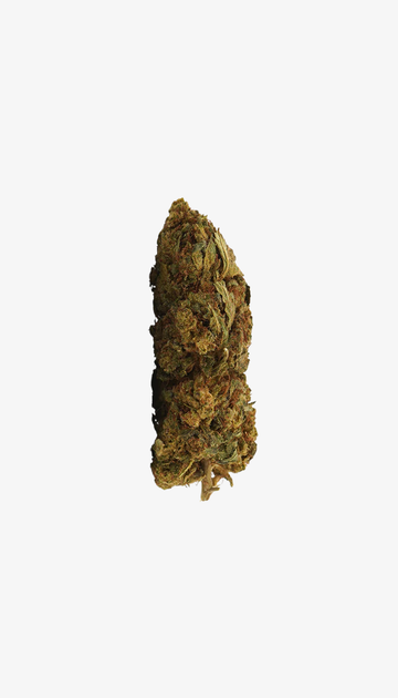 Orange Bud CBD